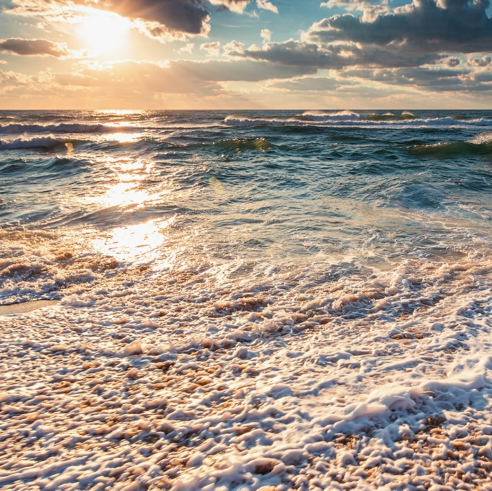 Meet your Posher, Ilonka